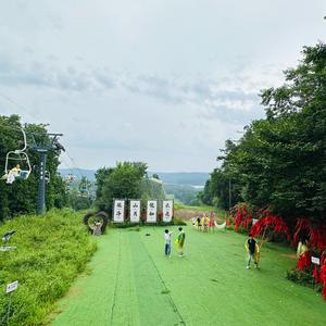 大鹤快点飞头像