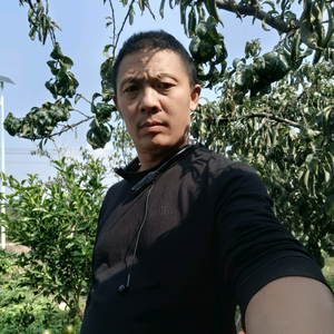 东坡七哥头像