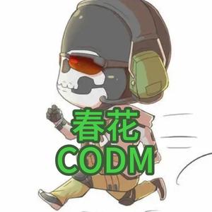 CODM春花头像