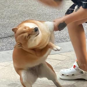 极速星星头像