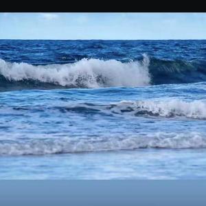 情海头像