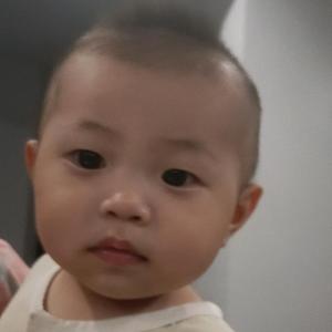 森哥无忧头像