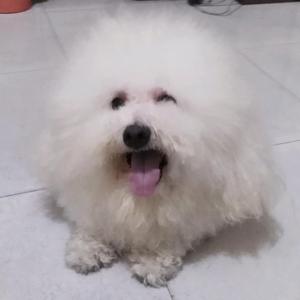小啊啊多多少少头像
