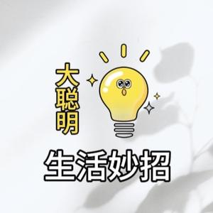 大聪明的小妙招头像