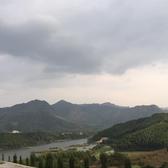 乐天派柠檬4h3a头像