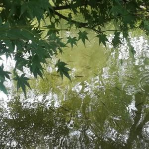 伏牛小记头像