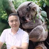 战狼好物优选头像