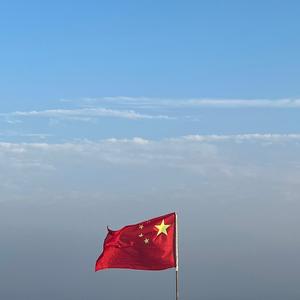 会员是只喵头像