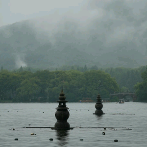顶级风筝VZ头像