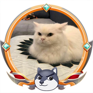 游戏解说小白猫头像