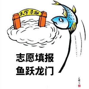 志愿填报鱼老师头像