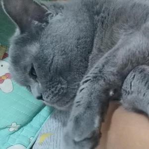 儒雅清风1头像
