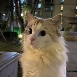 拾块钱头像
