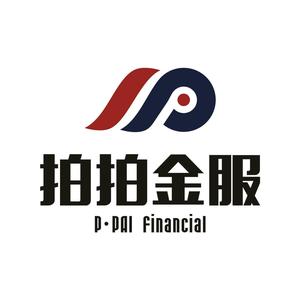 河南拍拍金服网络科技有限公司洛阳分公司头像