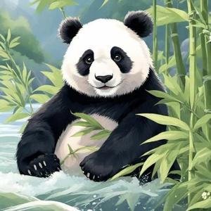 动物情报局头像