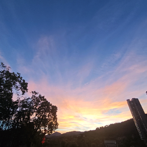 生活的行者头像