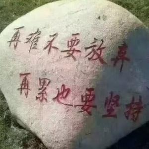 梦想启航头像