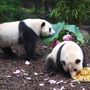 殷媛壹头像