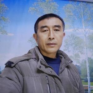 中华蜜蜂6N2W头像