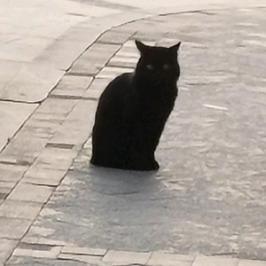 .湖畔闲云头像