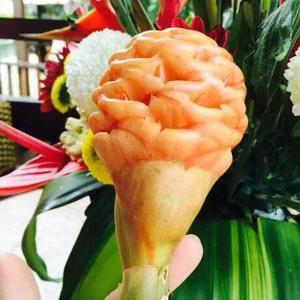 头条创作挑战者头像