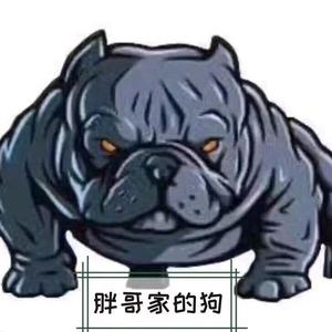 老头萌宠小铺头像
