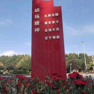 忠视频头像