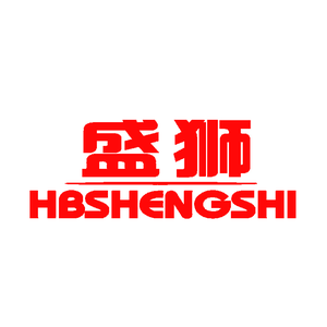 盛狮大家电旗舰店头像