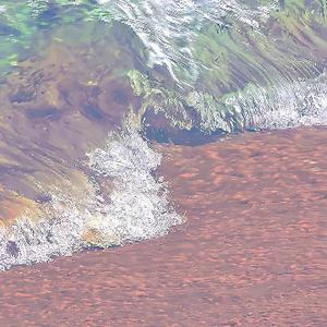 阿瓦的美好分享 头像