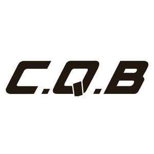 CQB户外装备大联盟头像