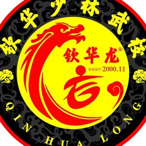 安岳钦华少林武校刘华付头像