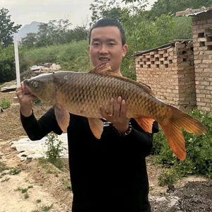 爱钓鱼的米斯特刘头像
