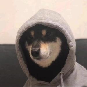 齐南念i头像
