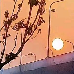 恐怖高能集结所头像