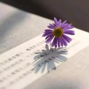天上人间求头像