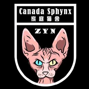 ZYN的德文卷毛猫头像