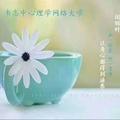 淮阳心理茶馆头像