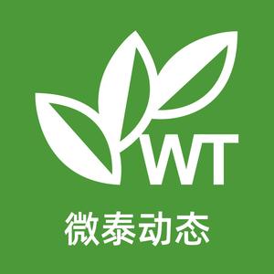 悟空健康头像