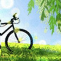 优雅昌吉2a1头像