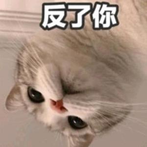弄爸爸头像