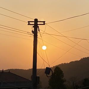 晴天de疯子头像