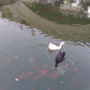 卞怡恒头像