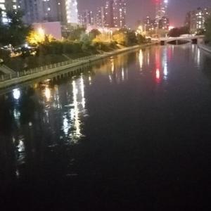 番茄93743579747头像