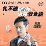 新密洛克防扎安全胎头像