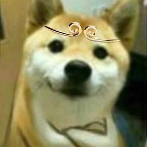向晚OvO头像