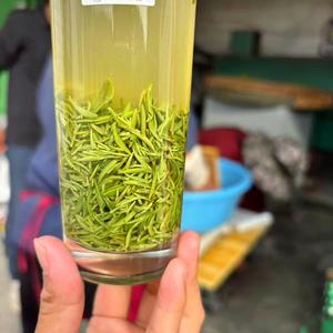 茶农姜小琴｜信阳毛尖头像