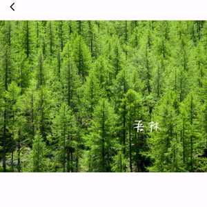 筒单分享头像