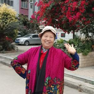聪明伶俐的老猴子头像