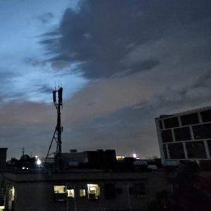 楼顶种点什么好头像