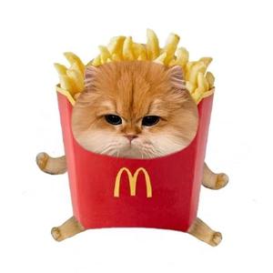 猫薯条 头像
